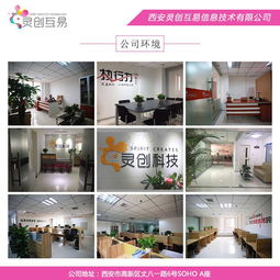 西安靈創互易 專注抖音運營與網站建設，助力本地企業數字化轉型